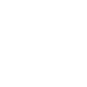 Mission Icon